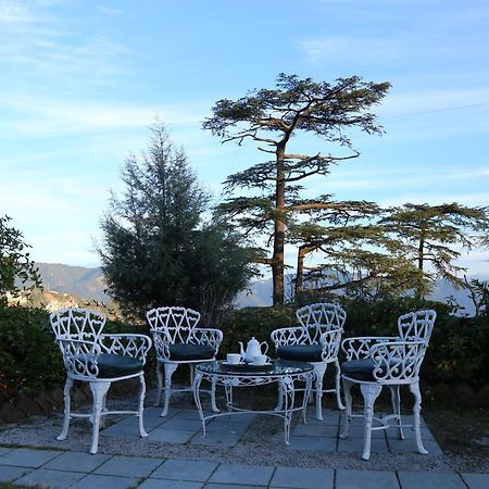 Springfields - A Heritage Palace Since 1902 Shimla Bagian luar foto