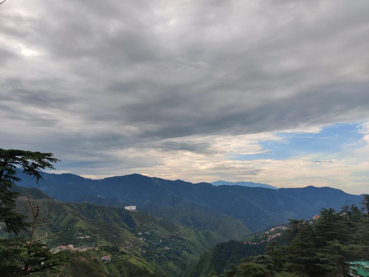 Springfields - A Heritage Palace Since 1902 Shimla Bagian luar foto